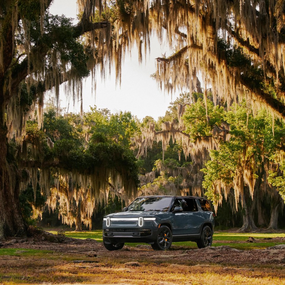 Dark Rivian R1S electric SUV beneath Spanish moss in a sunlit woodland